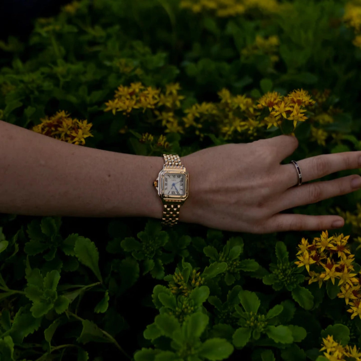 Women's Luxury Watch - Cerchron Gold